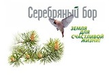 Серебряный бор