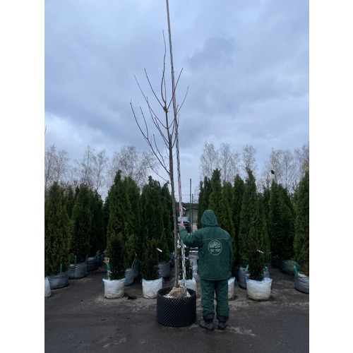 Фото товара  - вид 3