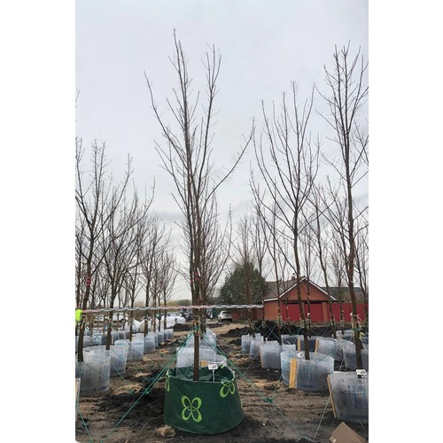 Фото товара  - вид 6