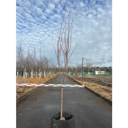 Фото товара  - вид 9