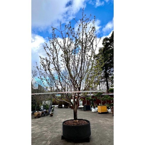 Фото товара  - вид 3