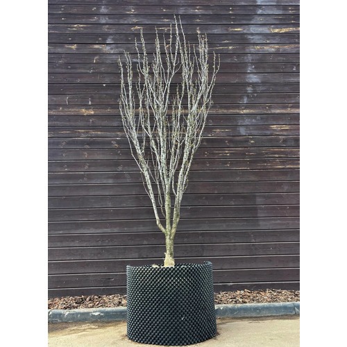 Фото товара  - вид 4