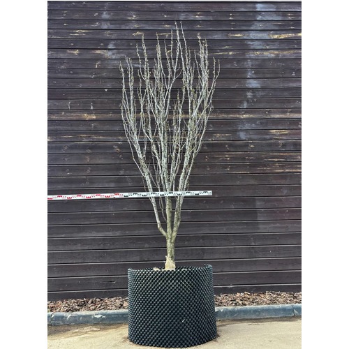 Фото товара  - вид 3