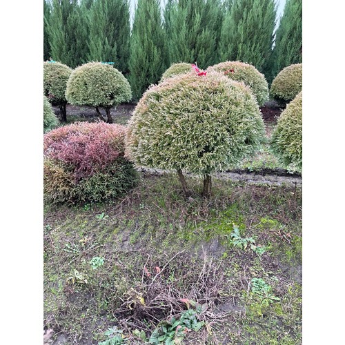 Фото товара  - вид 4