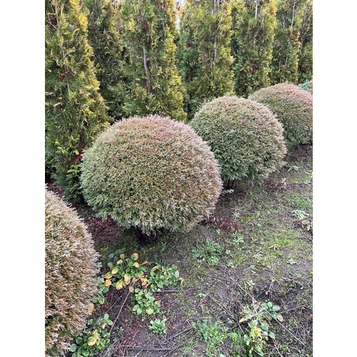 Фото товара  - вид 6