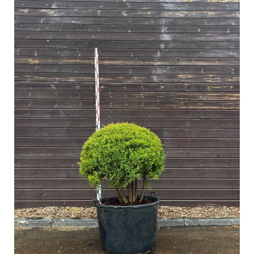 Фото товара  - вид 2