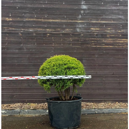 Фото товара  - вид 3