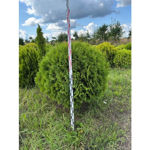 Фото товара  - вид 7