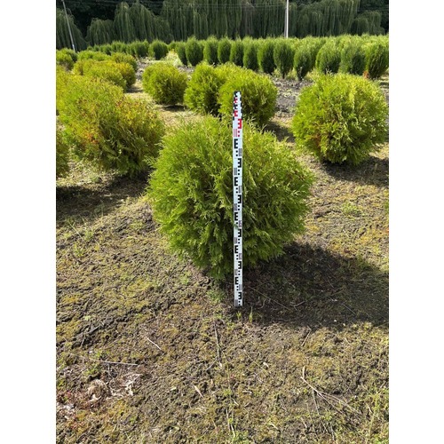 Фото товара  - вид 8