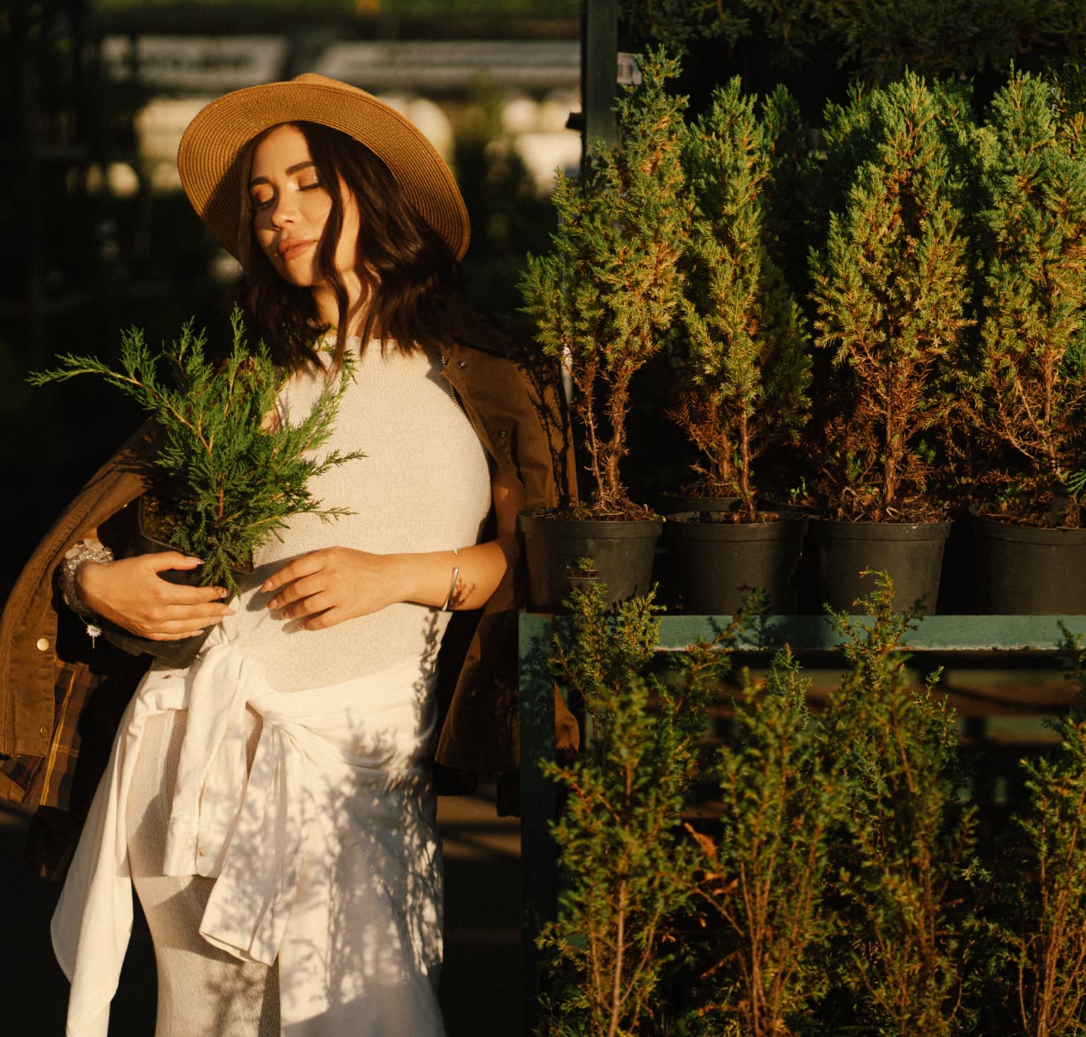 Растения и деревья напрямую из питомника